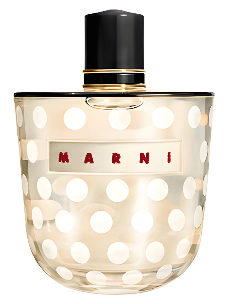 Marni Rose