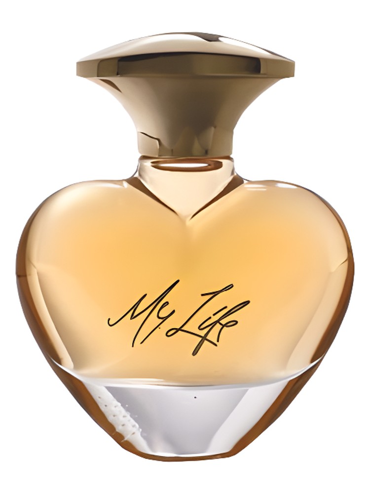 Mary J. Blige My Life
