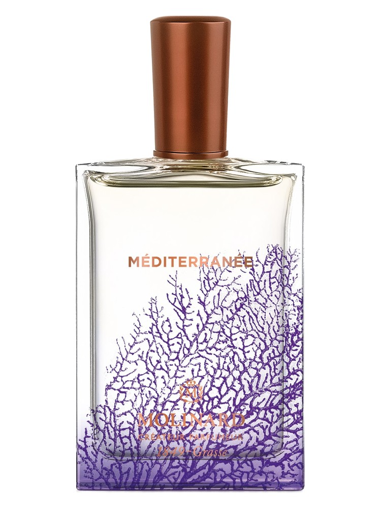Méditerranée