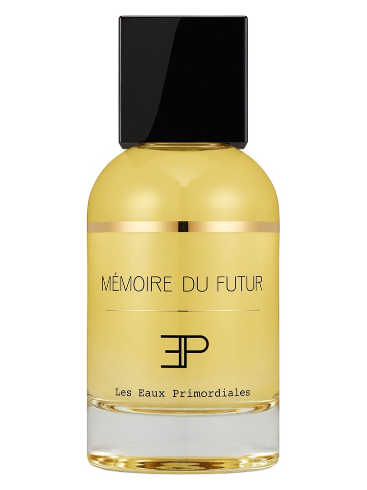 Memoire du Futur