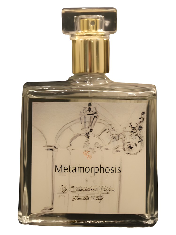 Metamorphosis