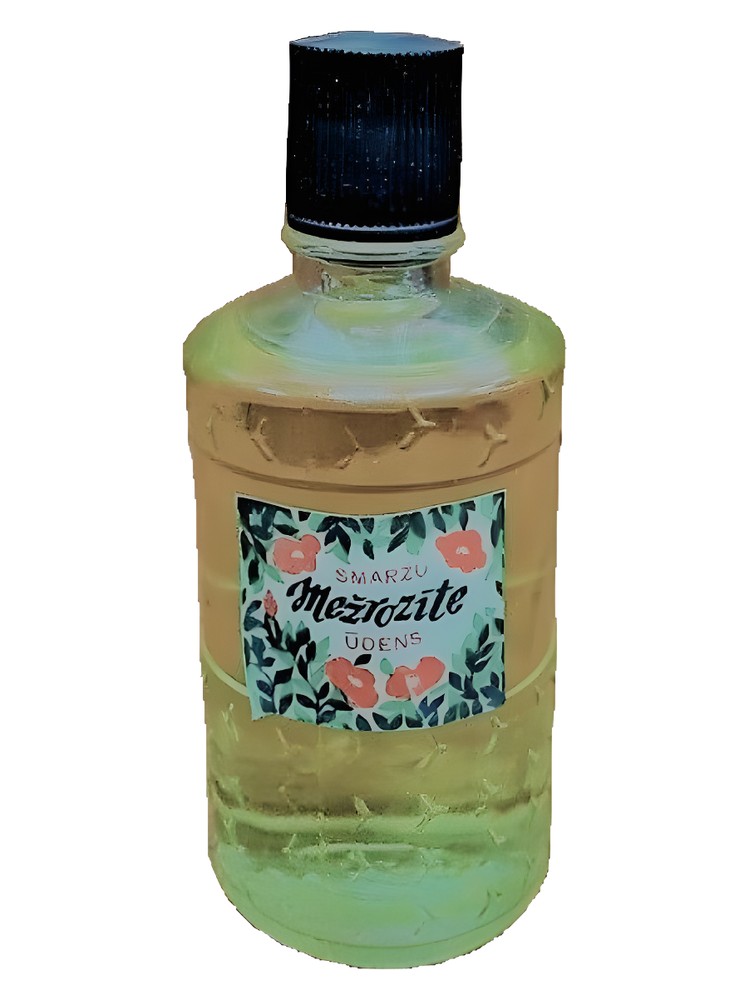 Mežrozīte (Шиповник)