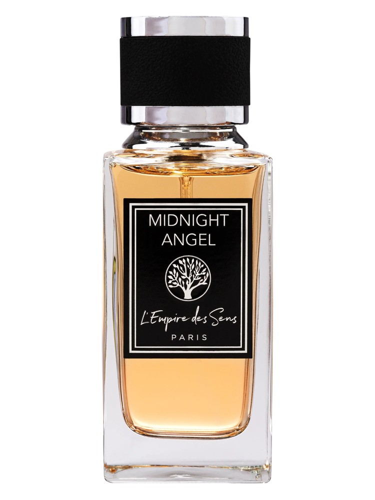 Midnight Angel