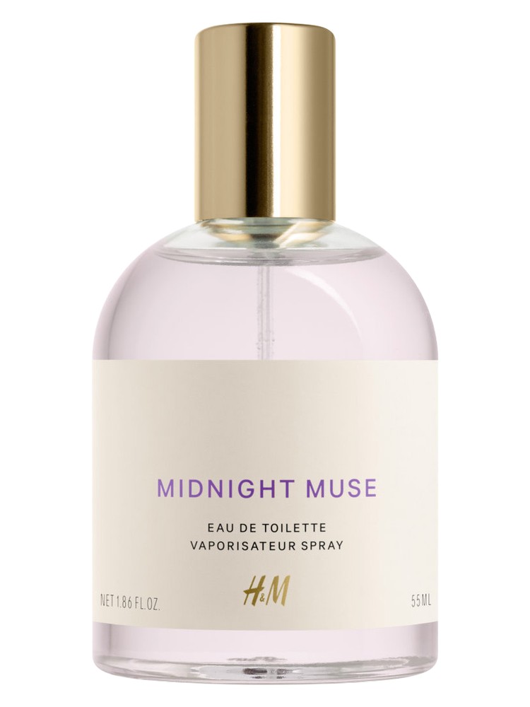 Midnight Muse