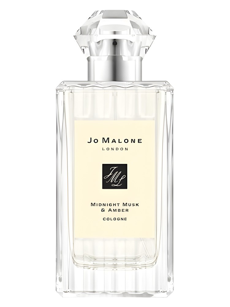 Midnight Musk & Amber