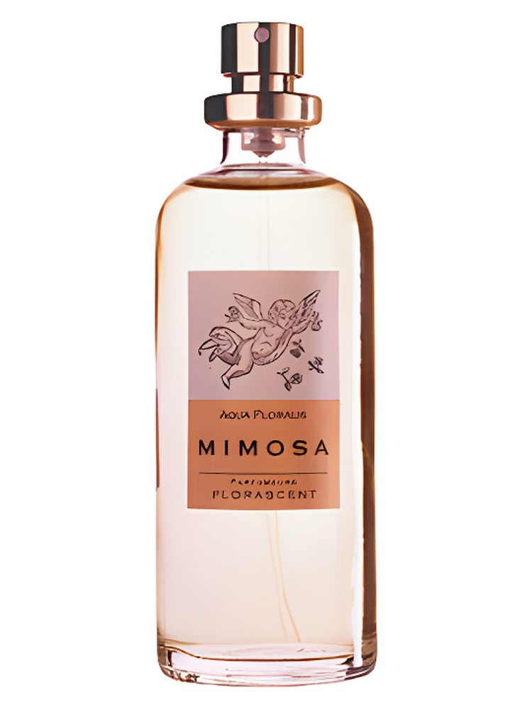 Mimosa