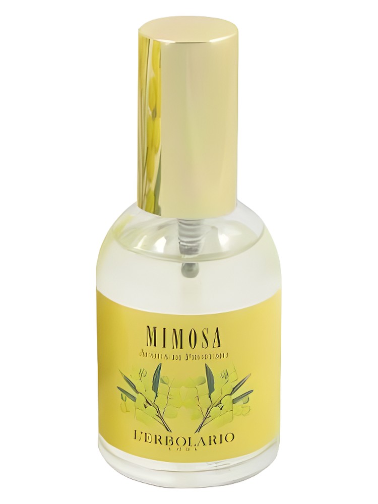 Mimosa