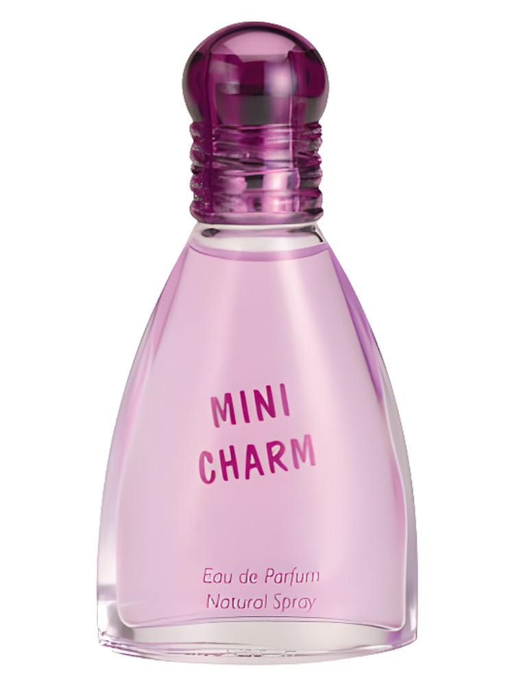Mini Charm