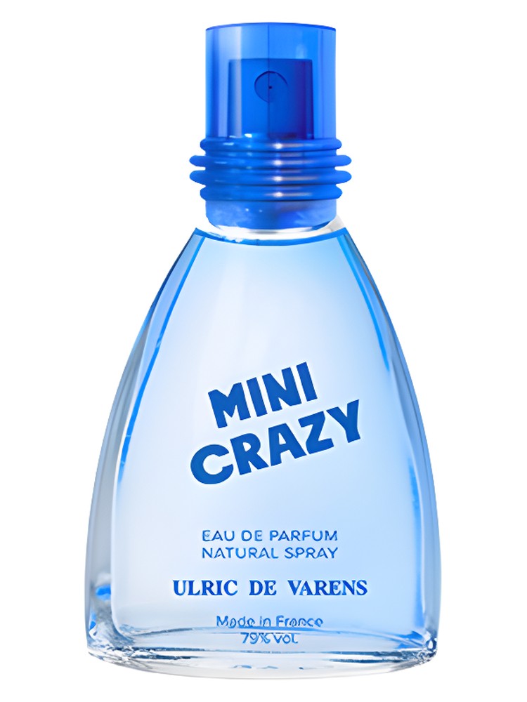 Mini Crazy