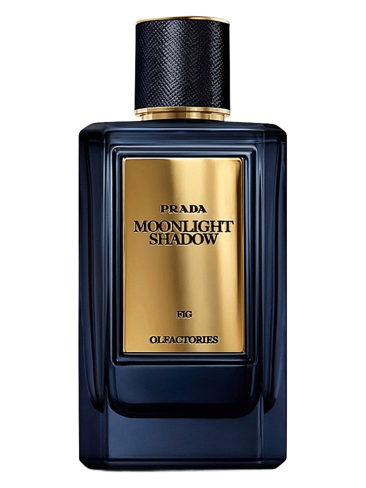 Mirages Moonlight Shadow