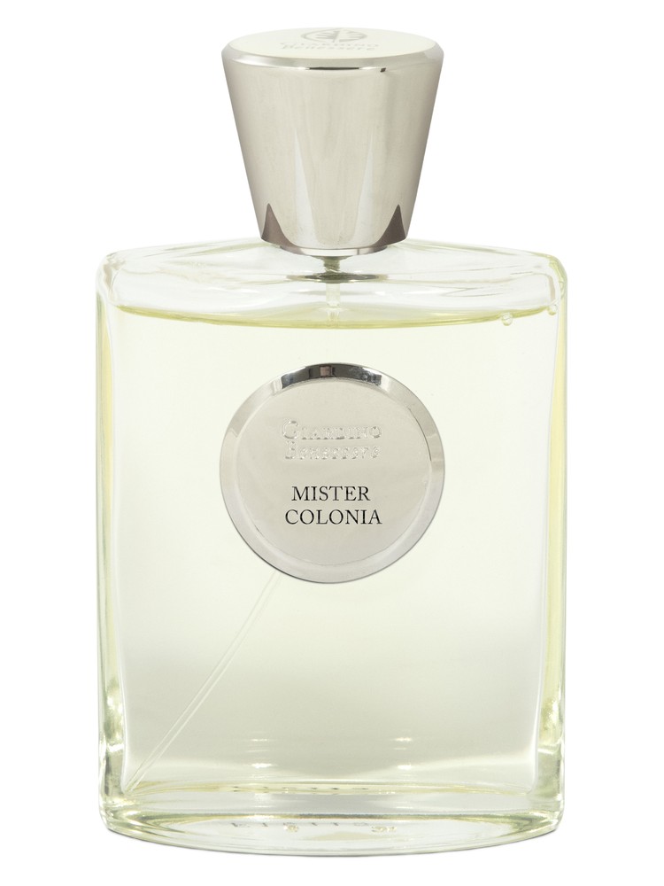 Mister Colonia