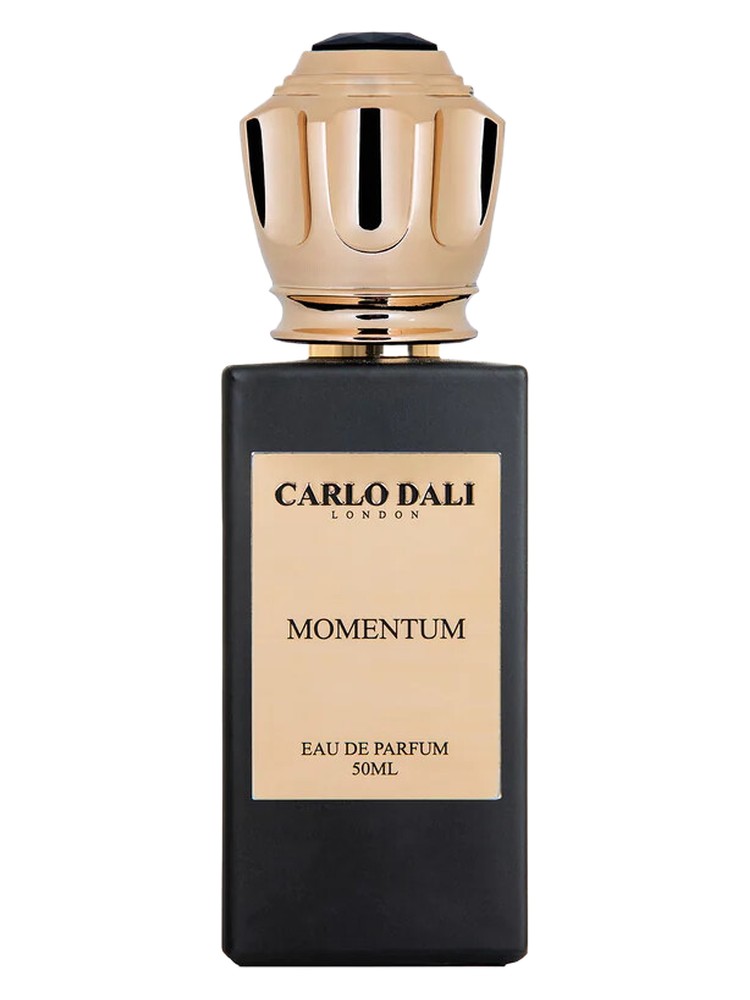 Momentum