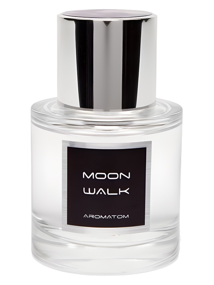 Moon Walk