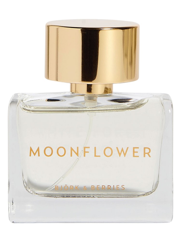 Moonflower