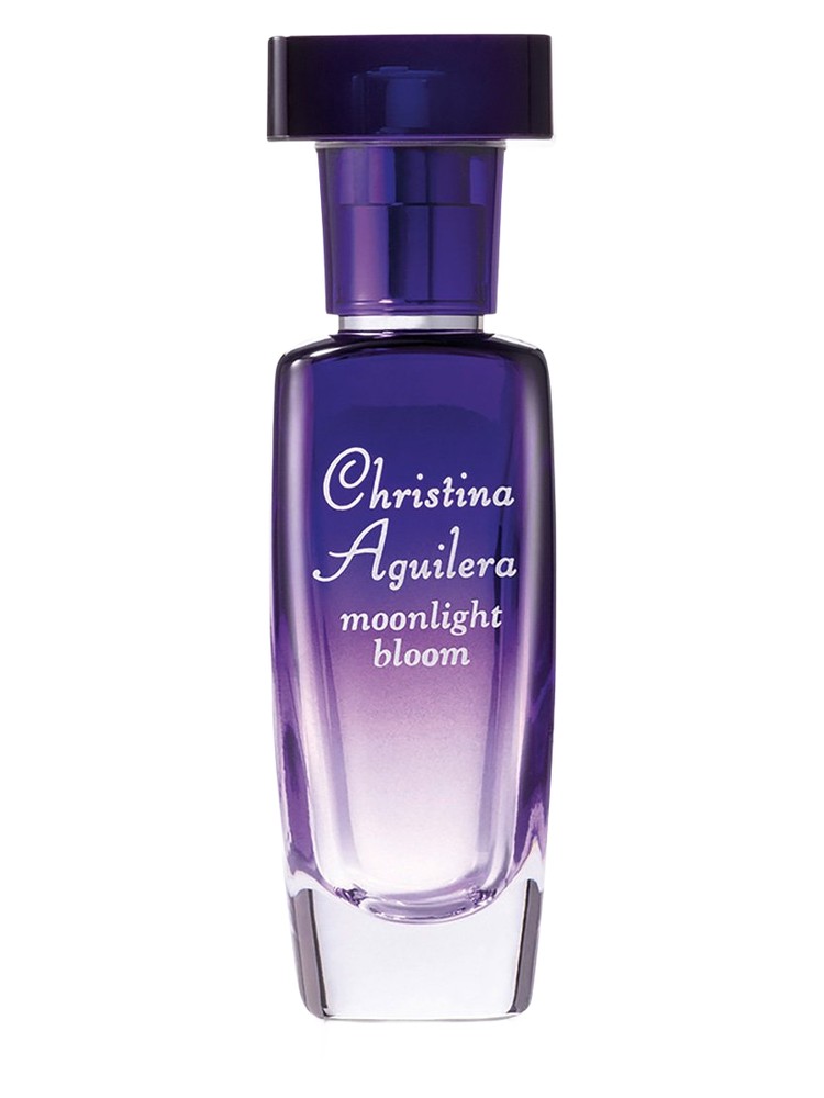 Moonlight Bloom