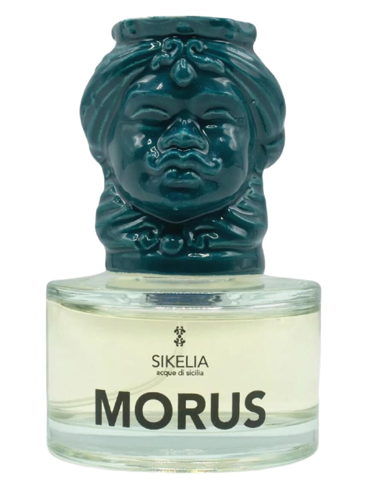 Morus