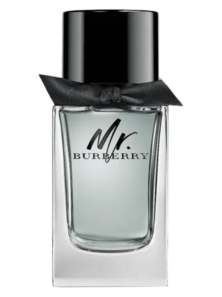 Mr. Burberry