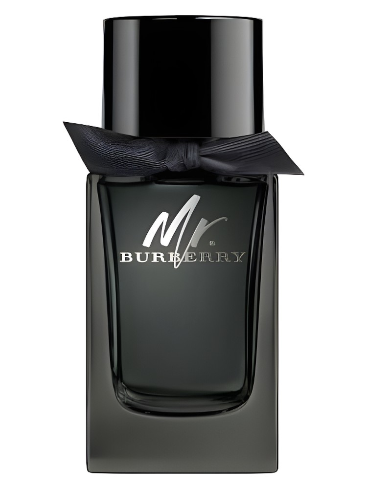 Mr. Burberry Eau de Parfum