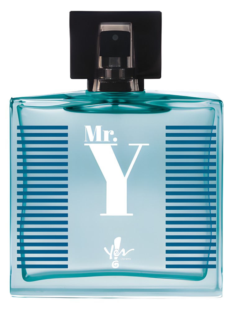 Mr. Y
