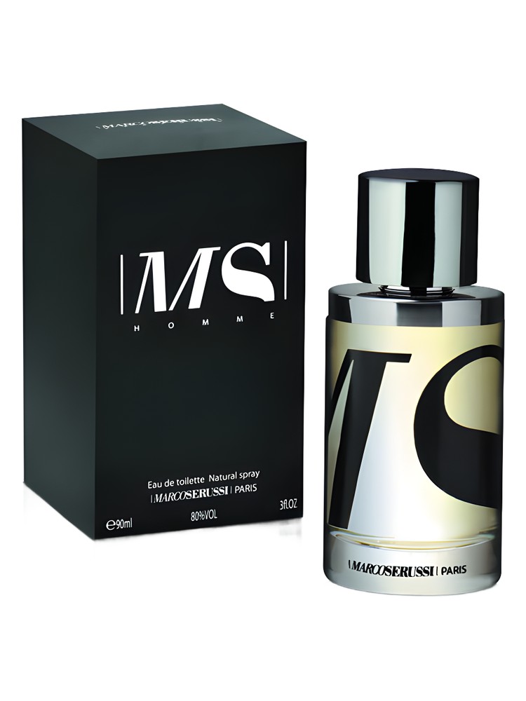 MS Homme