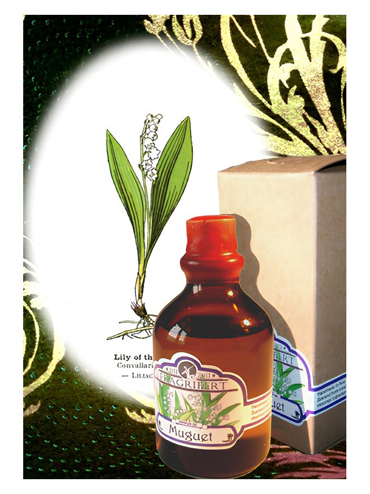 Muguet