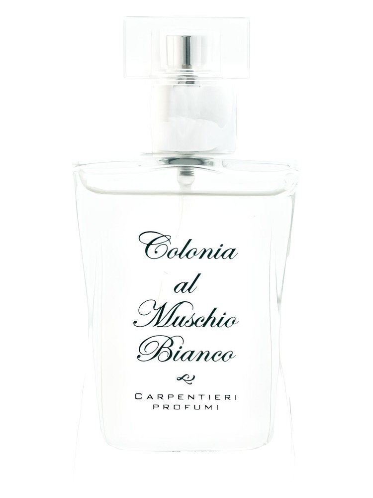 Muschio Bianco