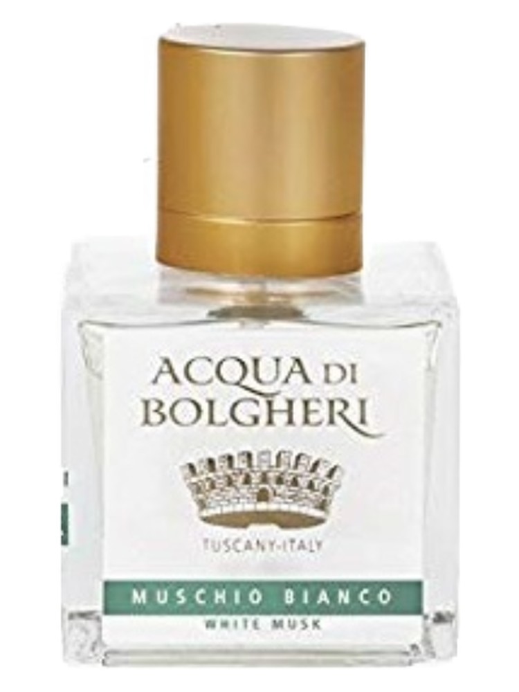 Muschio Bianco