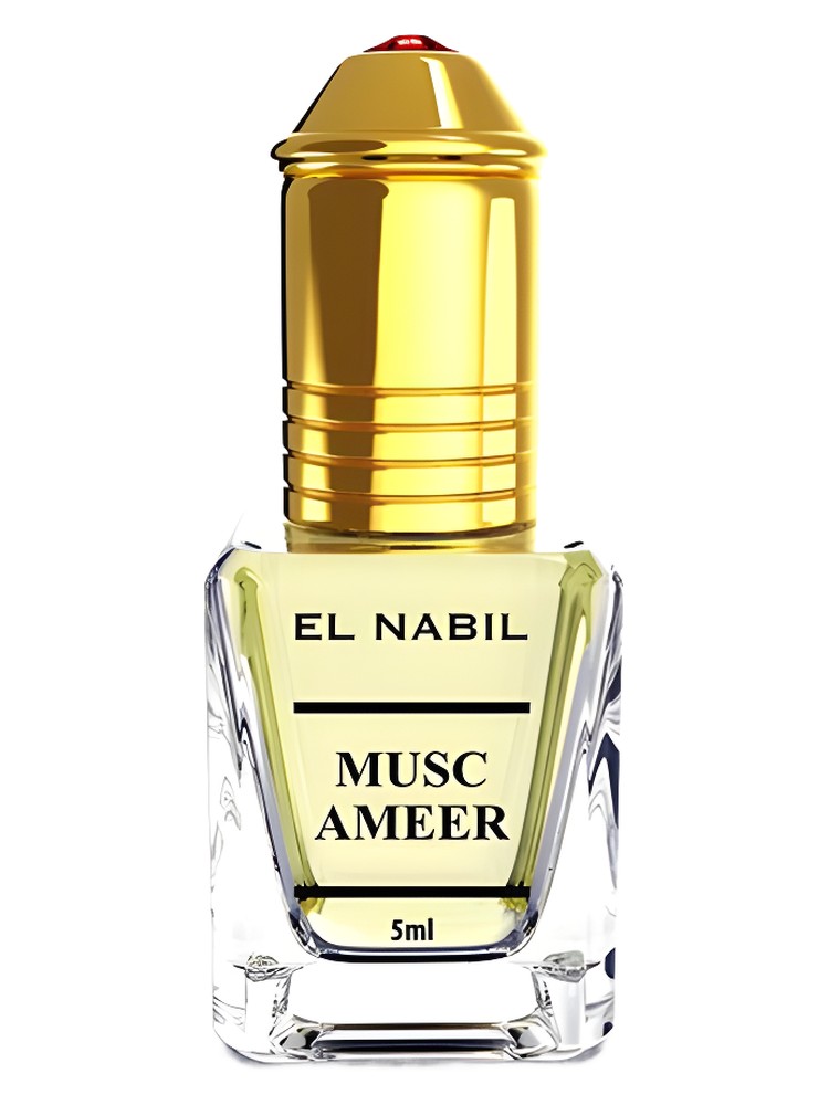 Musk Ameer