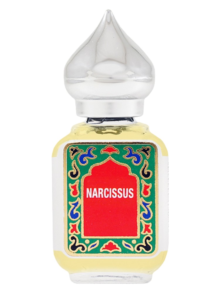 Narcissus