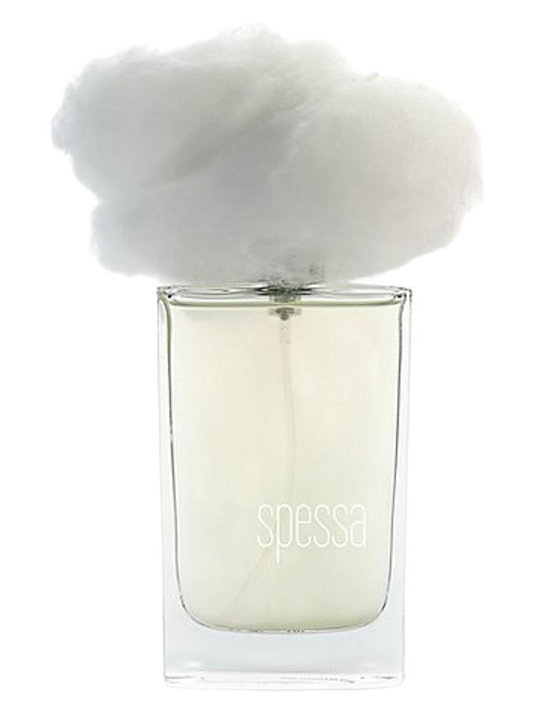 Nebbia Spessa