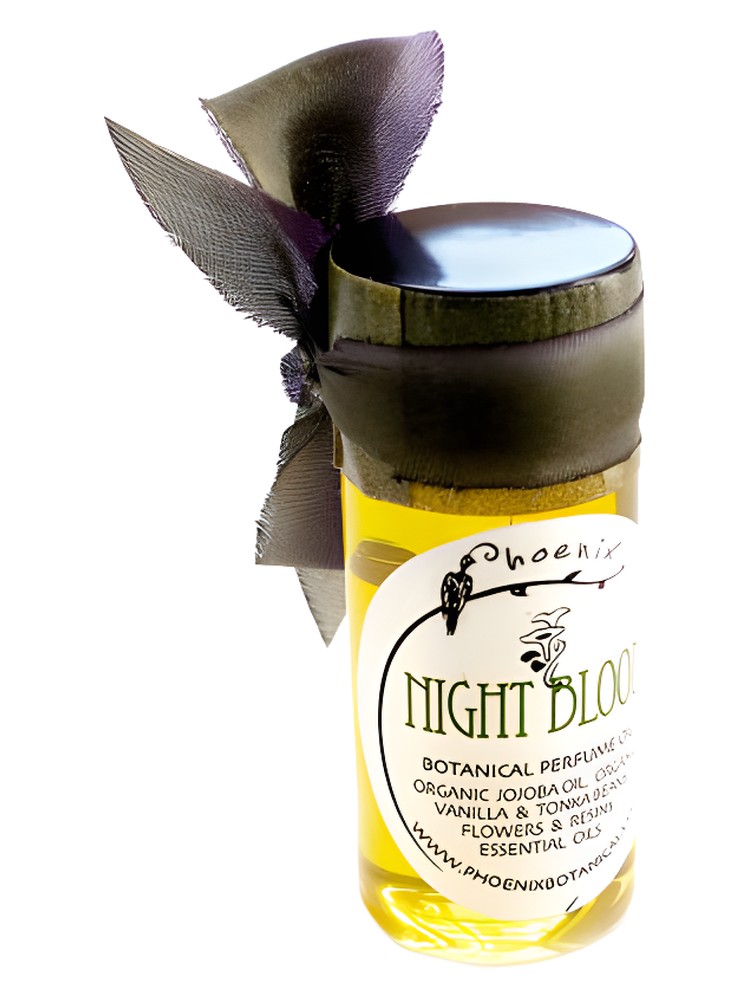 Night Bloom