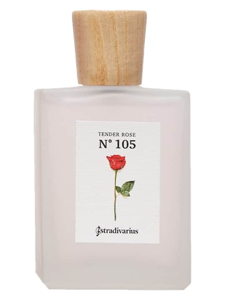 No 105 Tender Rose