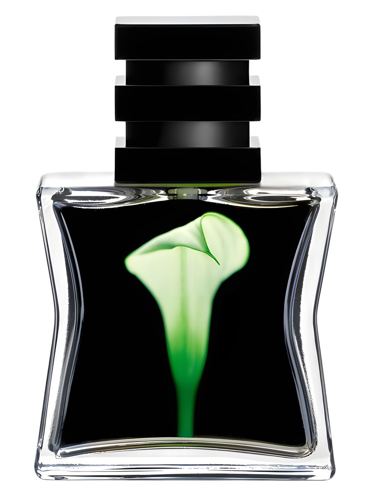 Nº 22
