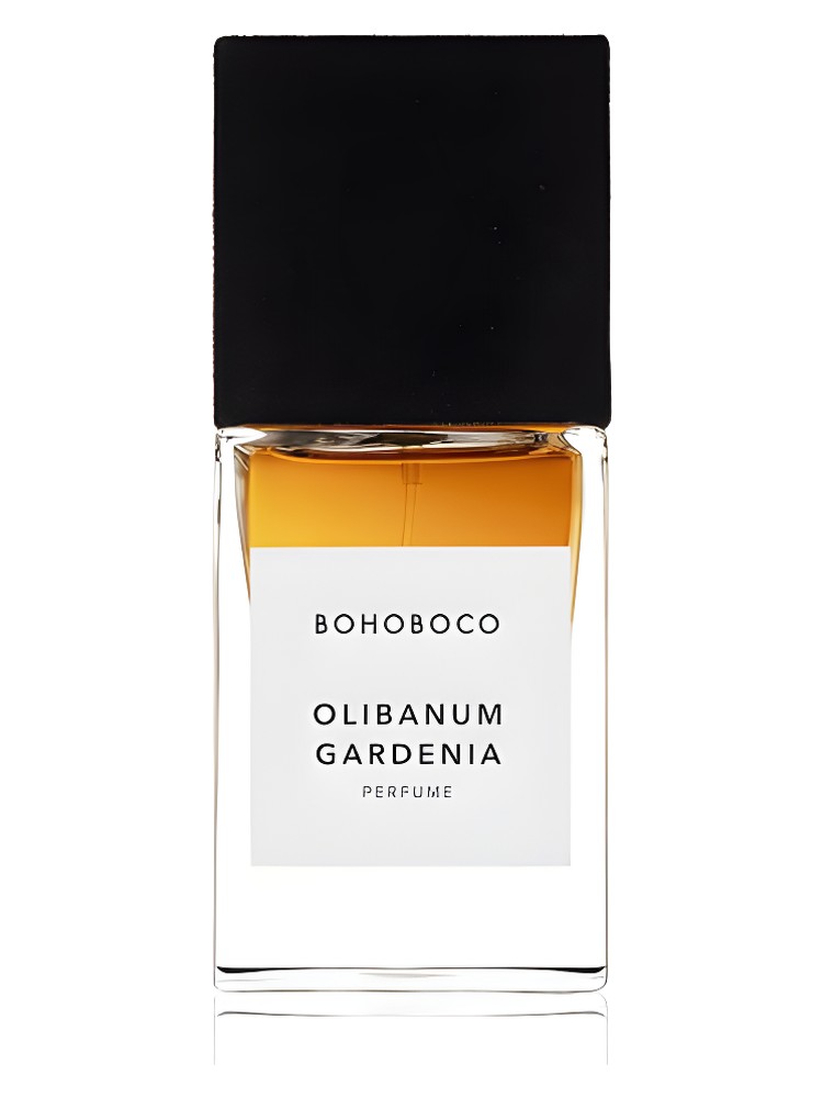 Olibanum Gardenia