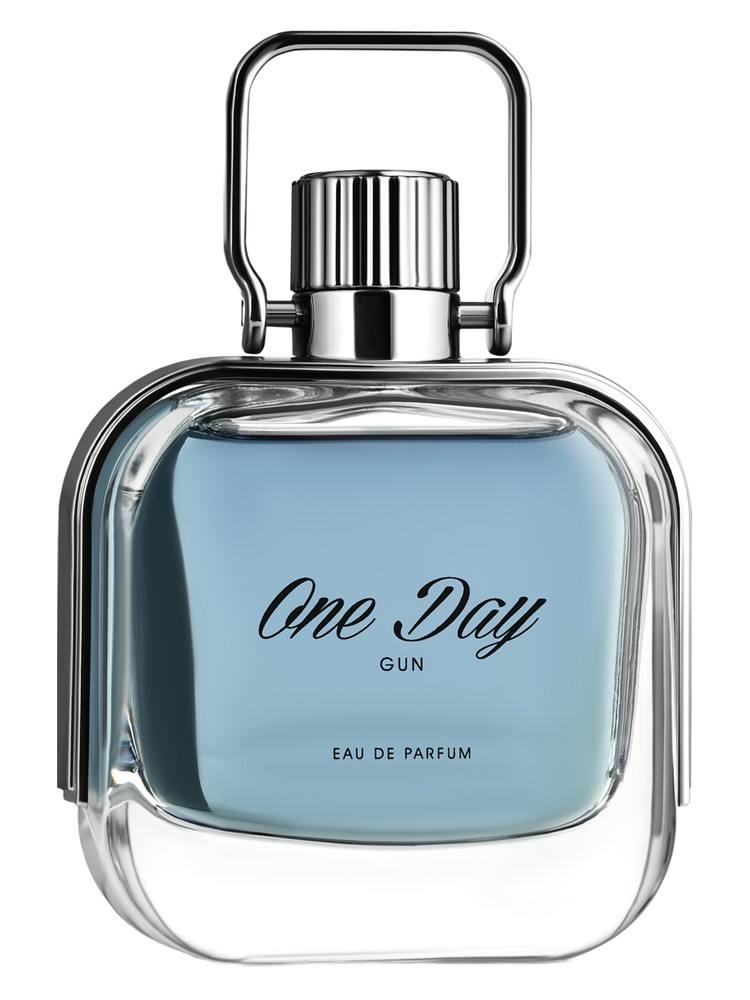 One Day Gun