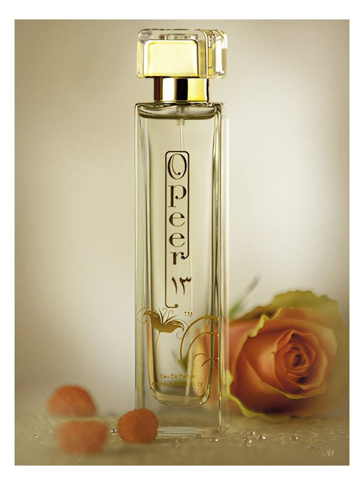 Opeer 13