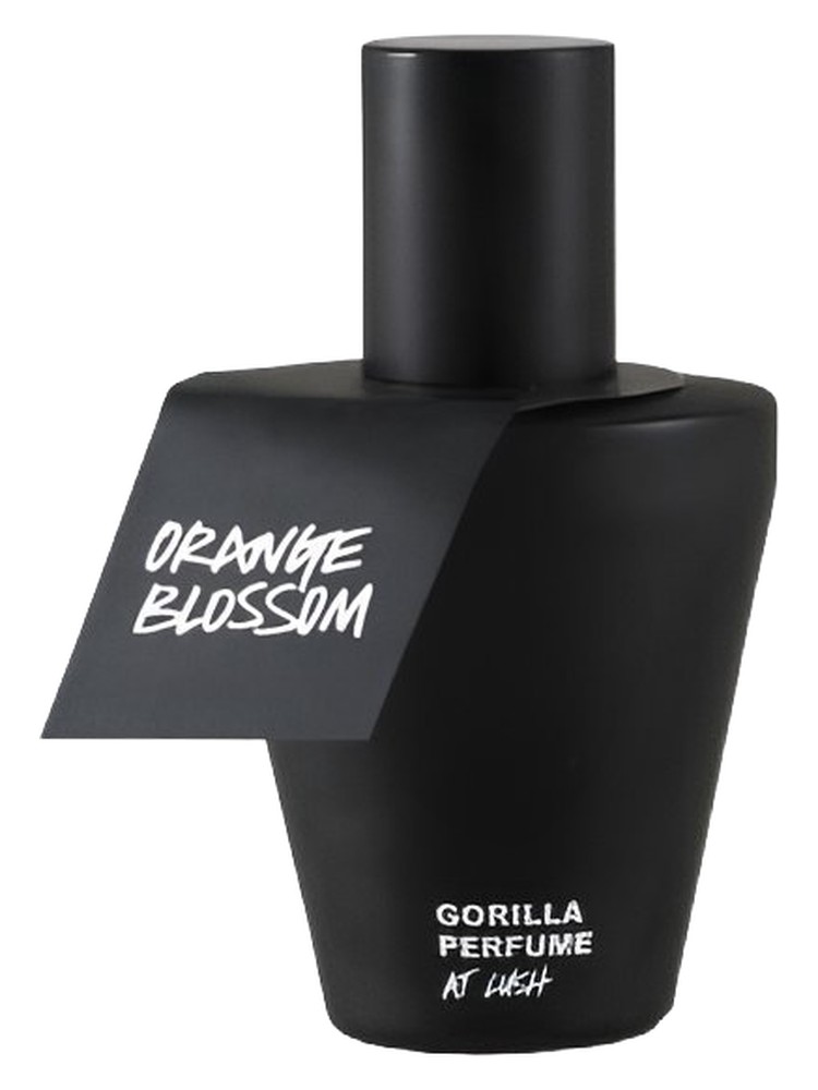 Orange Blossom