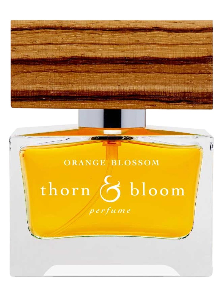Orange Blossom