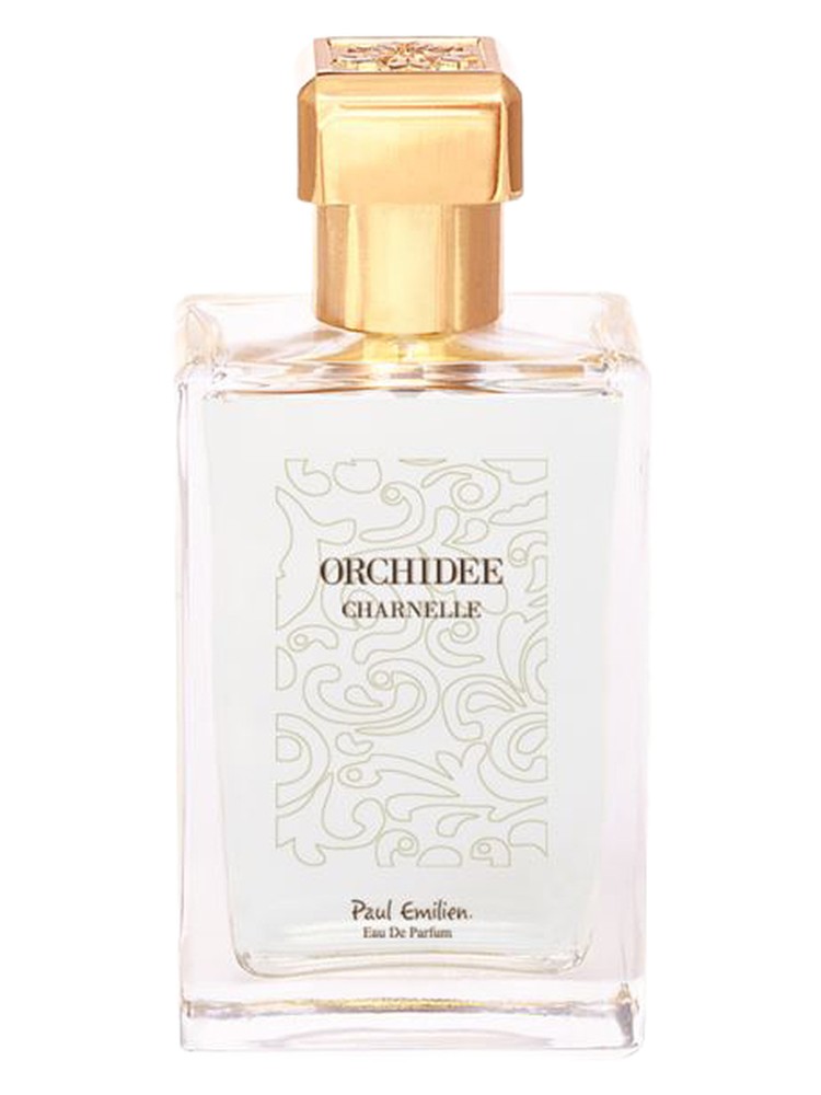 Orchidée Charnelle