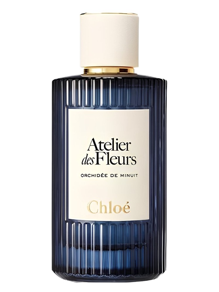 Orchidée de Minuit