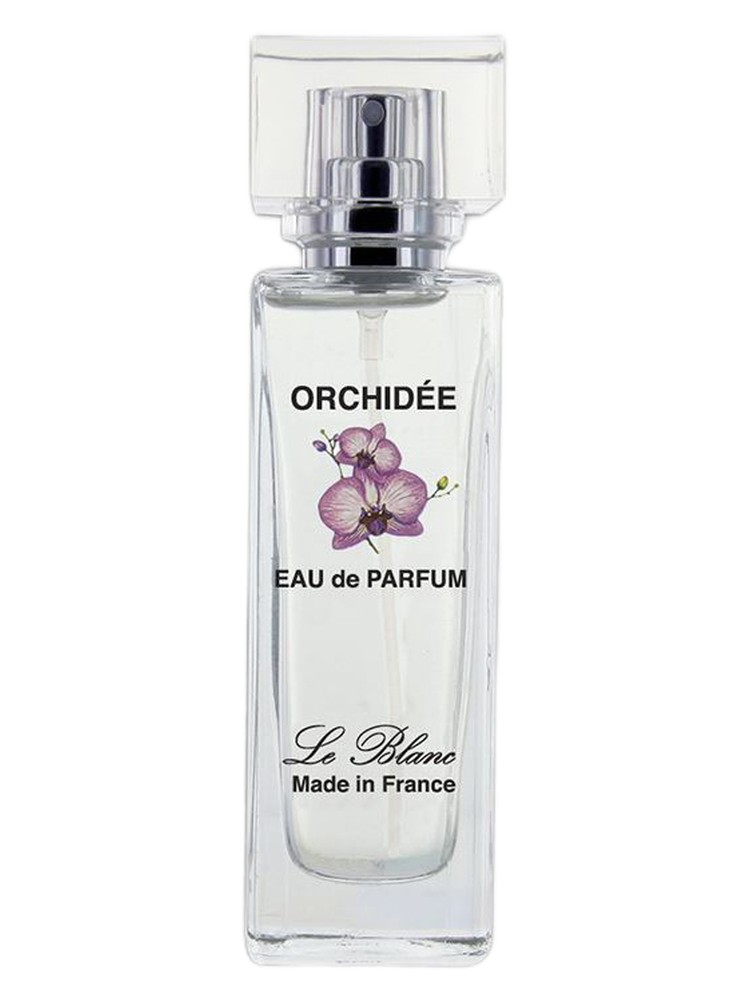 Orchidée