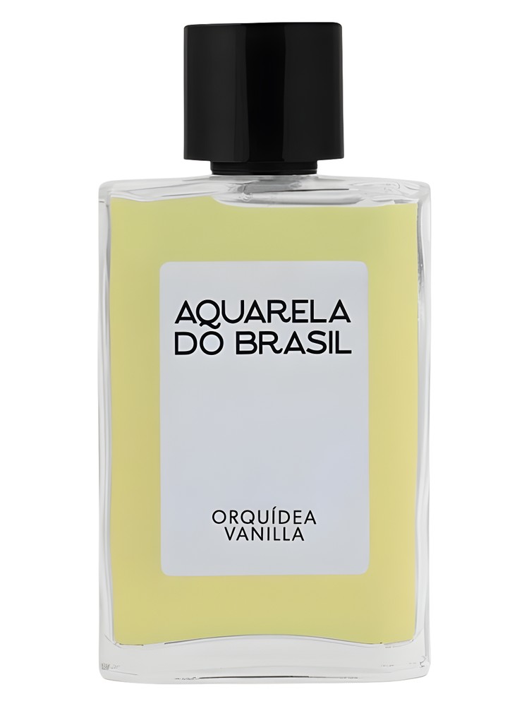 Orquídea Vanilla