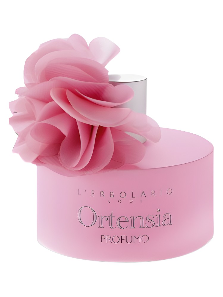 Ortensia