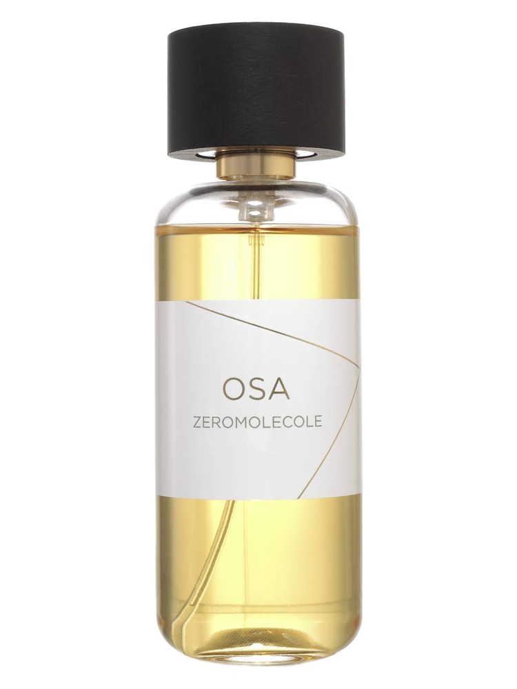 Osa