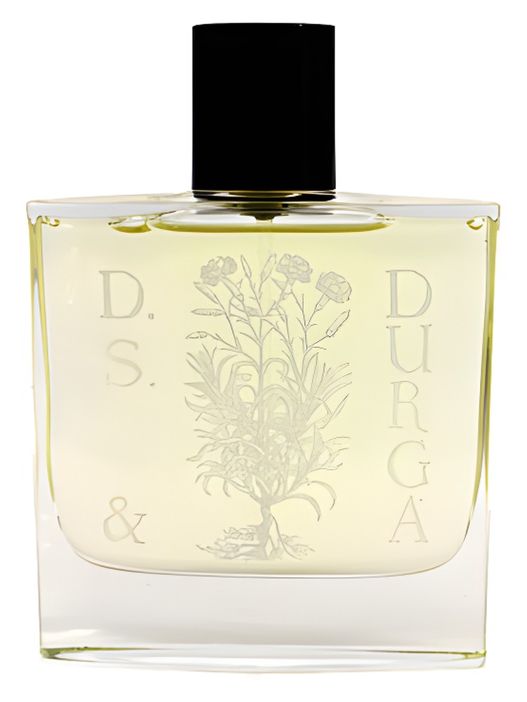 Osmanthus