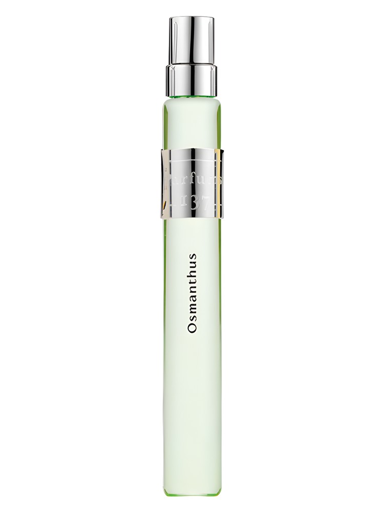 Osmanthus