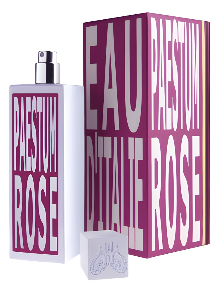 Paestum Rose