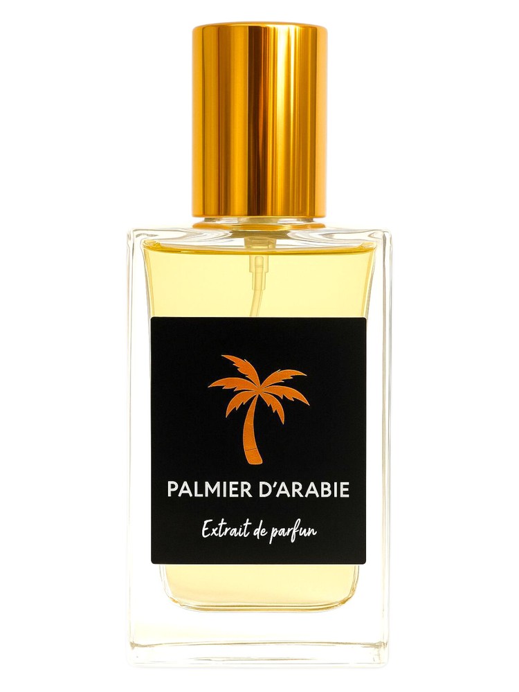 Palmier D'Arabie