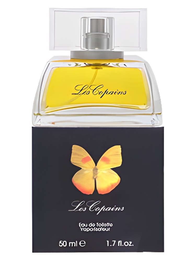 Papillon