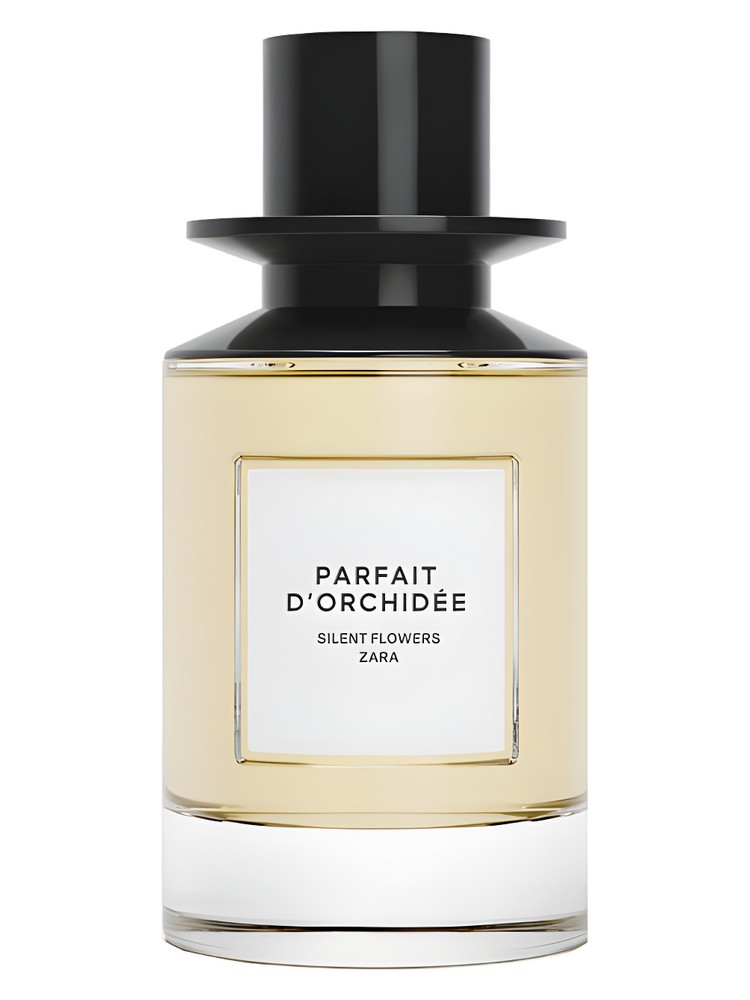 Parfait d'Orchidee